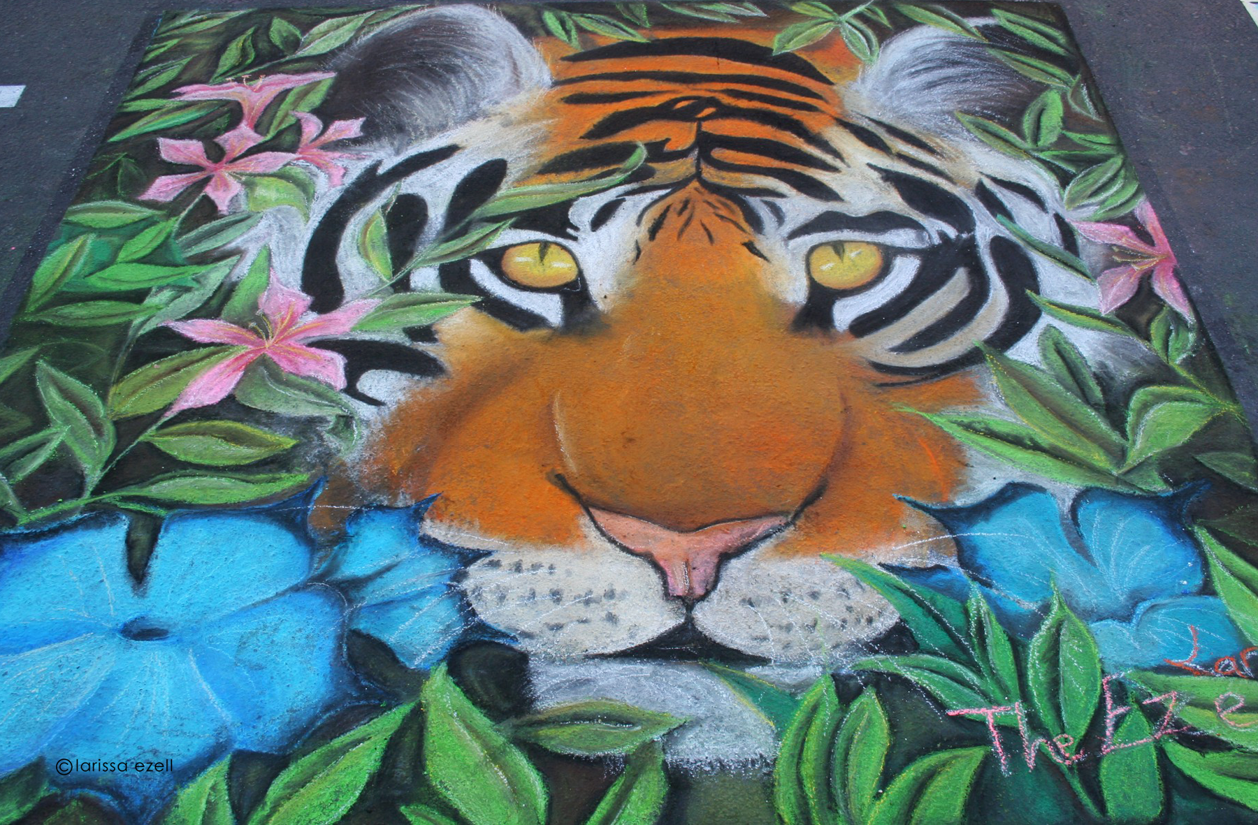 First Year Tiger By Larissa Ezell